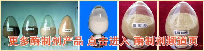 酶制剂